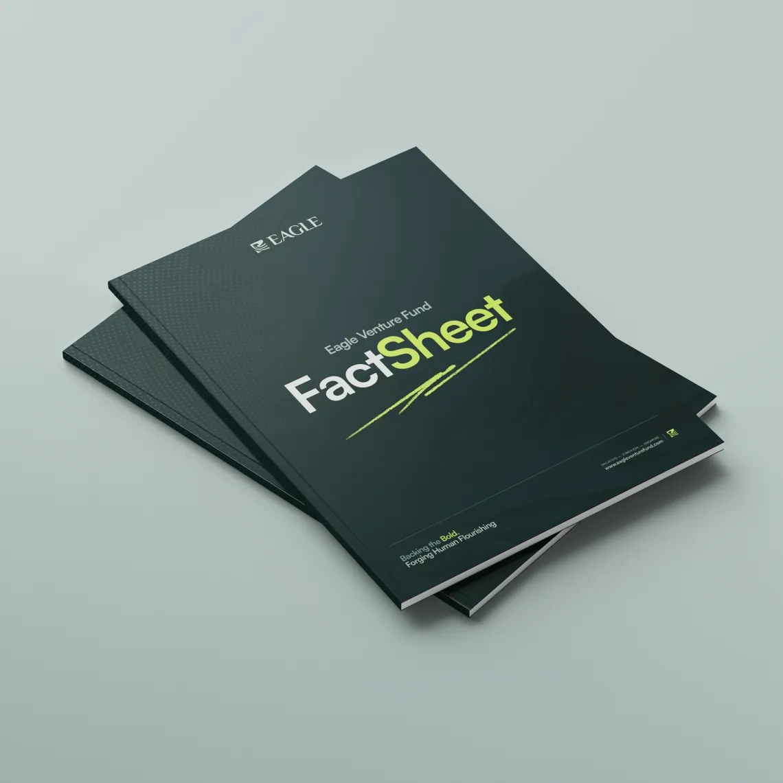 Eagle Venture Fund Fact Sheet
