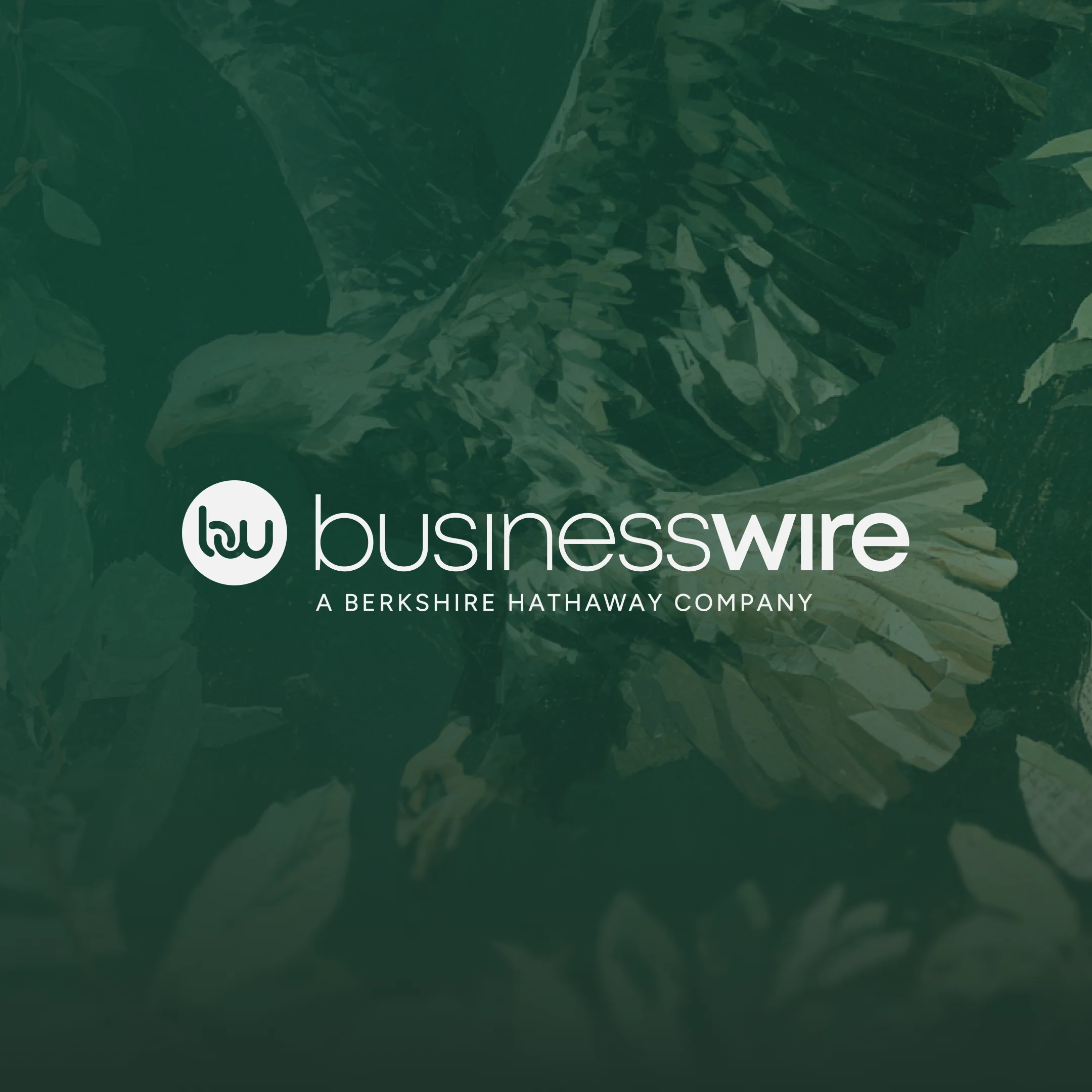 Business Wire, a Berkshire Hathaway company