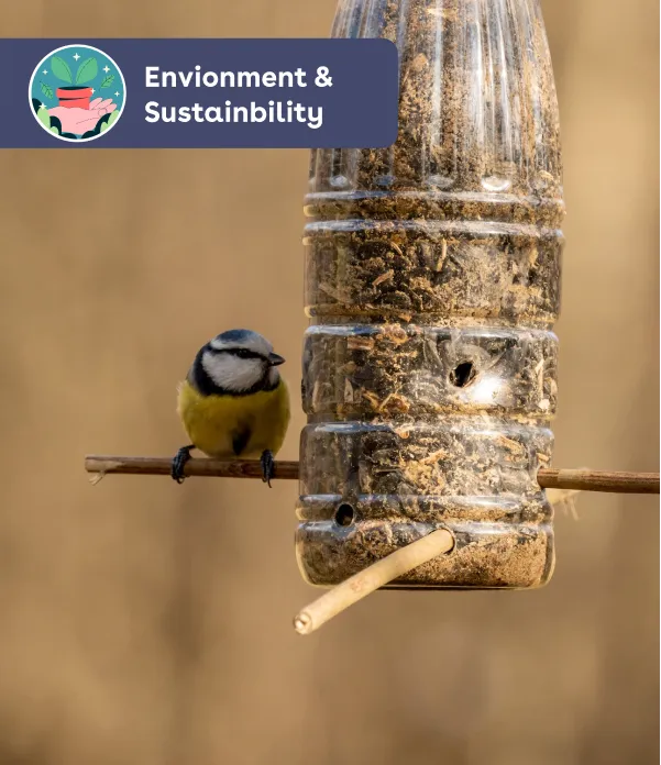 Upcycle old plastic bottles into bird feeders