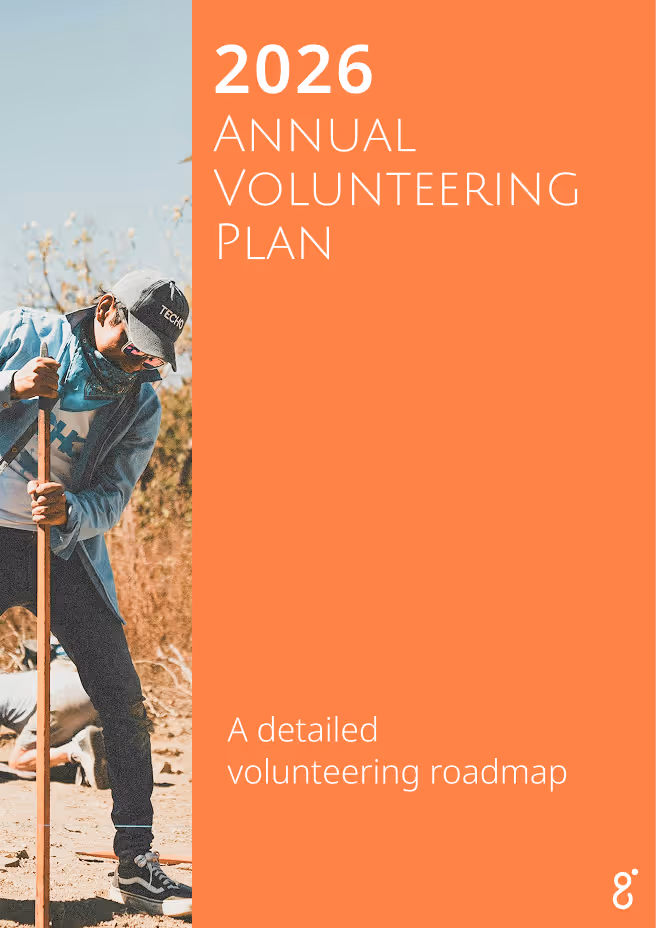 The Annual Volunteering Blueprint 1
