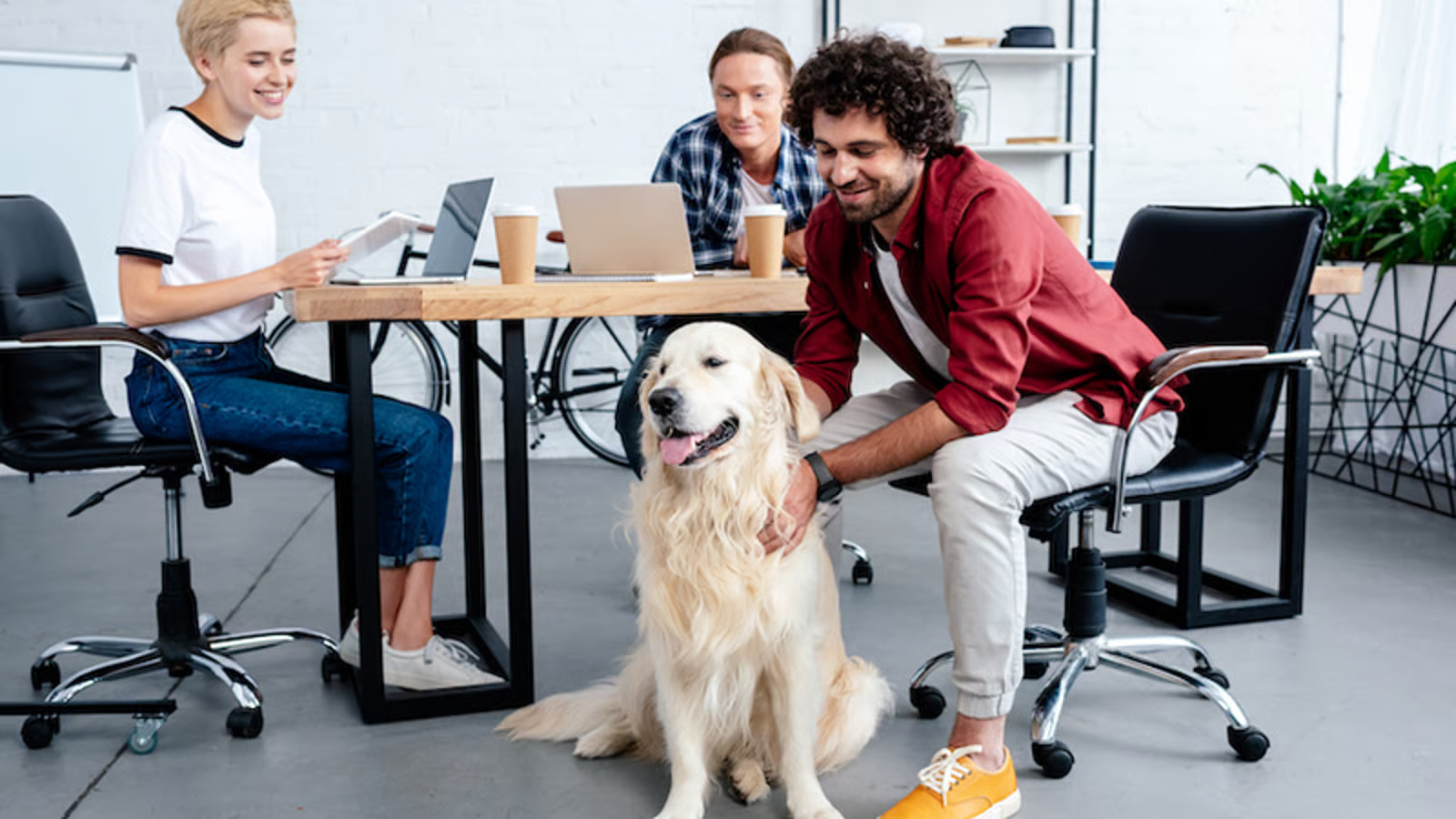 Employees interacting with a friendly dog in an office setting during a pet-friendly workplace activity to reduce stress