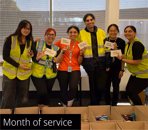Volunteering Opportunity 2