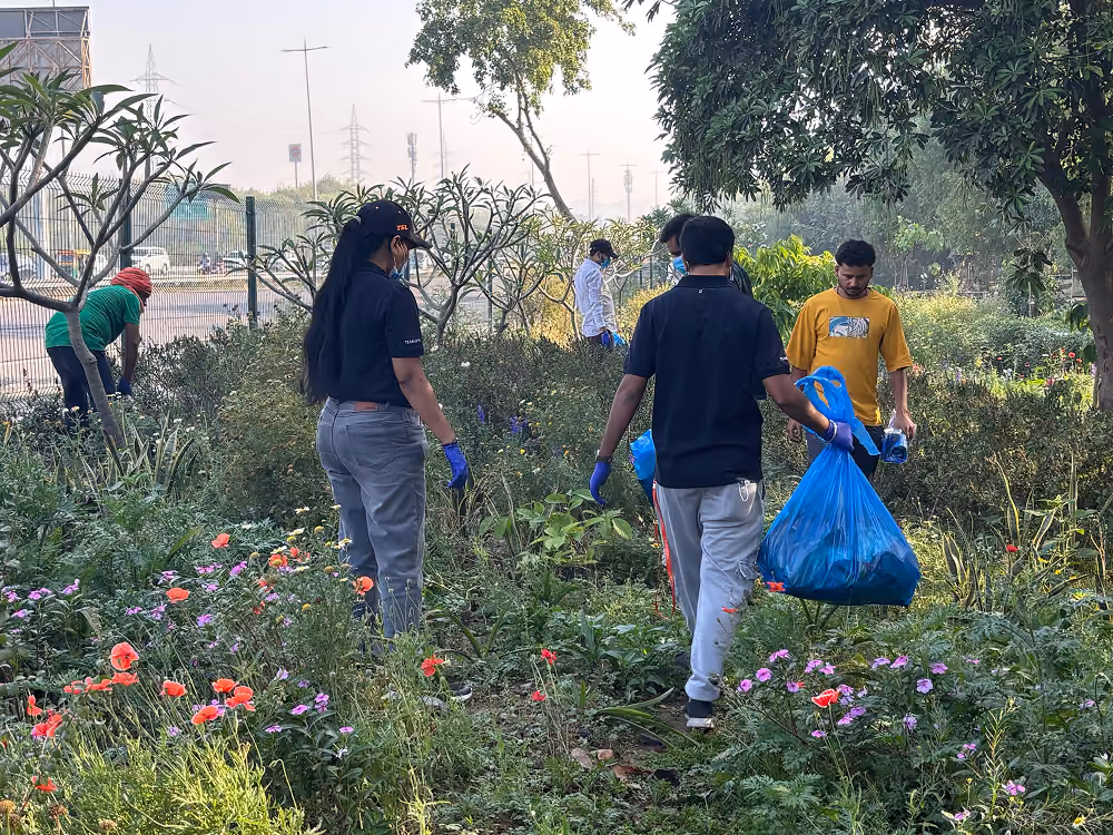 Volunteers clearing overgrowth from a garden path