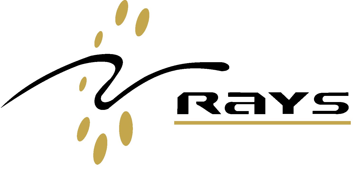 Raystechserv
