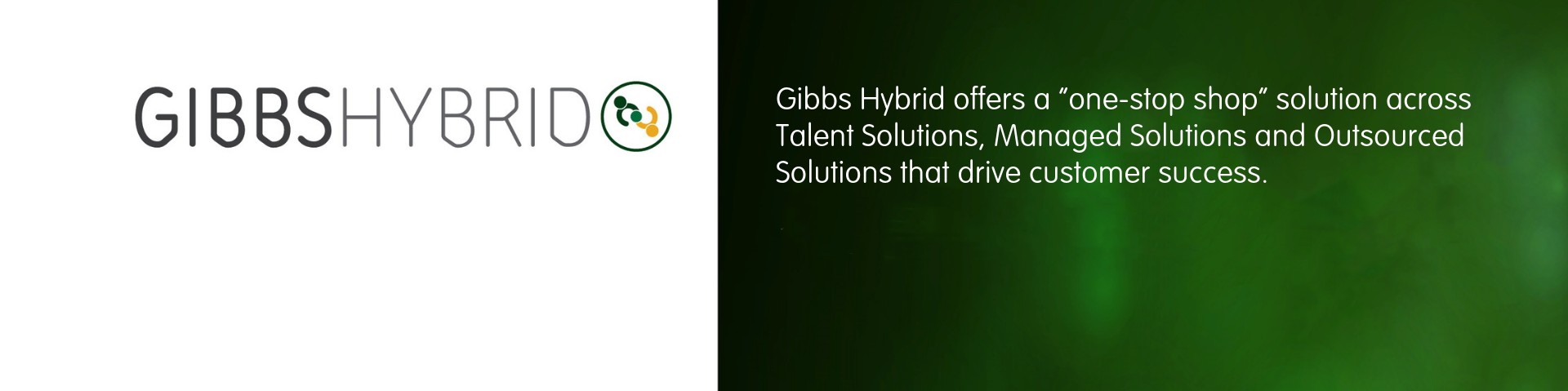 Gibbs Hybrid