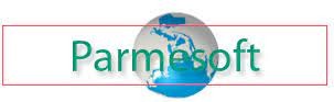 Parmesoft Inc.