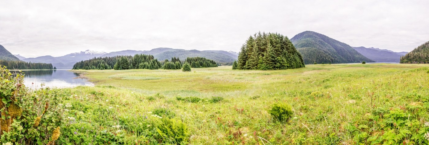 Sealaska
