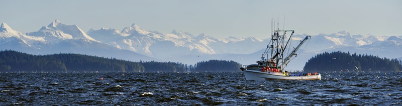 Wild Alaskan Company