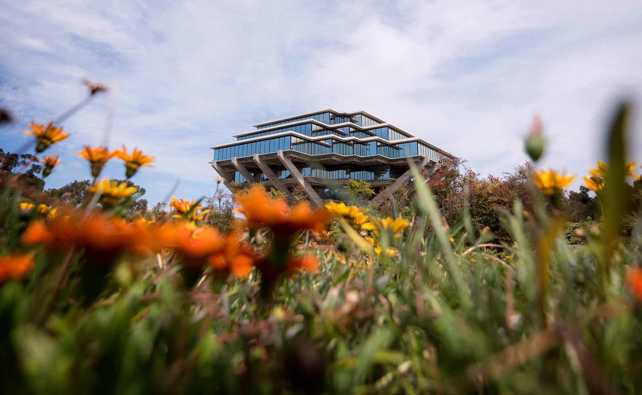 UC San Diego
