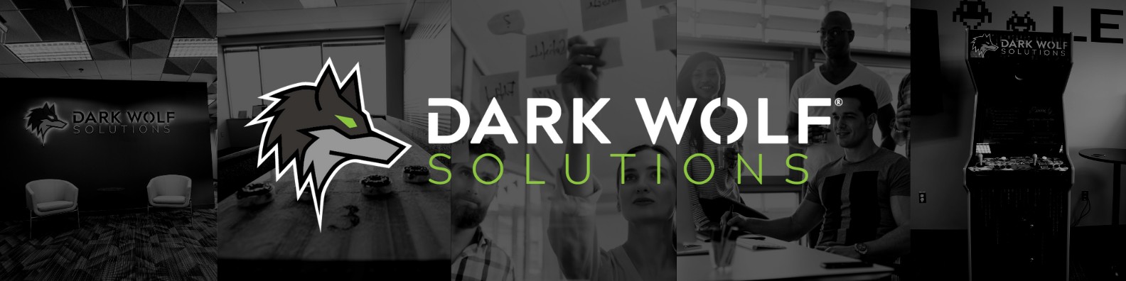 Dark Wolf Solutions