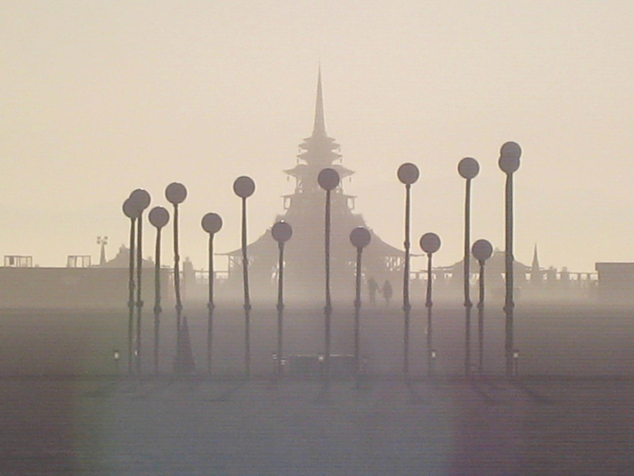 murmuration