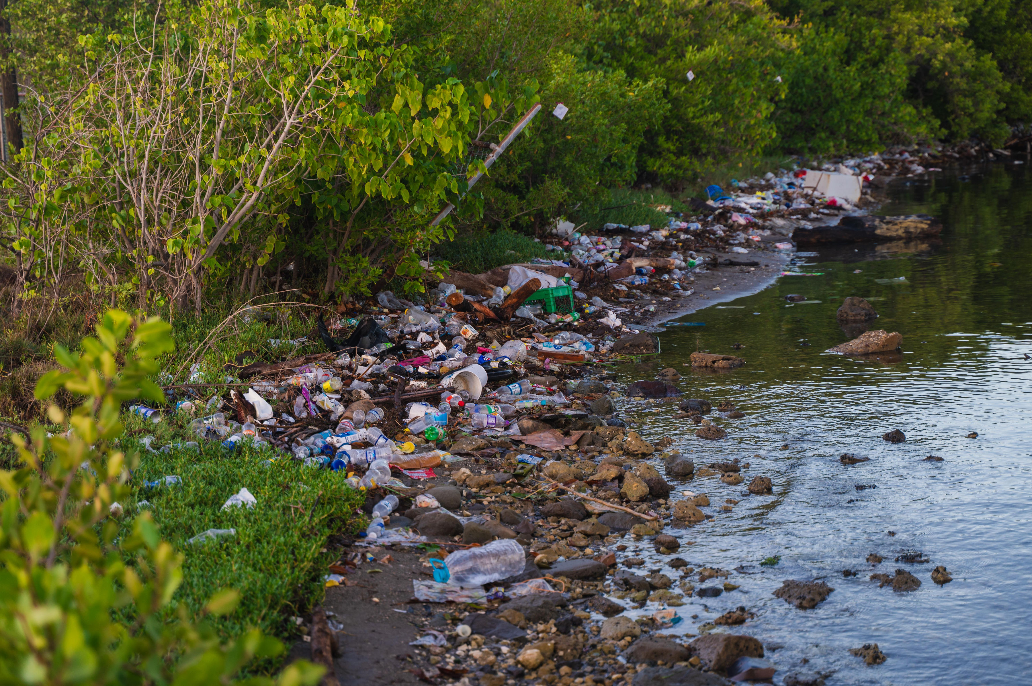 Plastic bottles and household waste washed up along a vegetated gully bank where it meets the water.