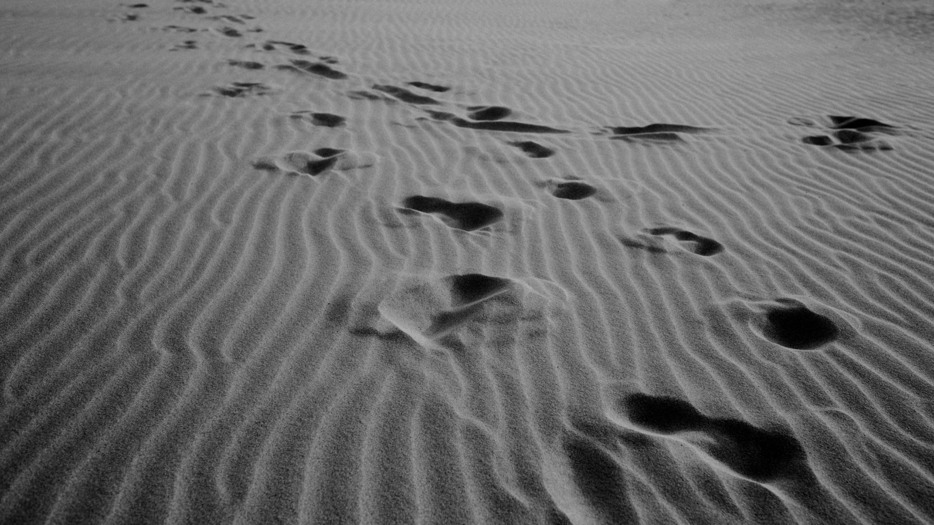 Supplier Relationship Management (SRM) : maîtriser vos relations fournisseurs et recruter les bons profils pour performer