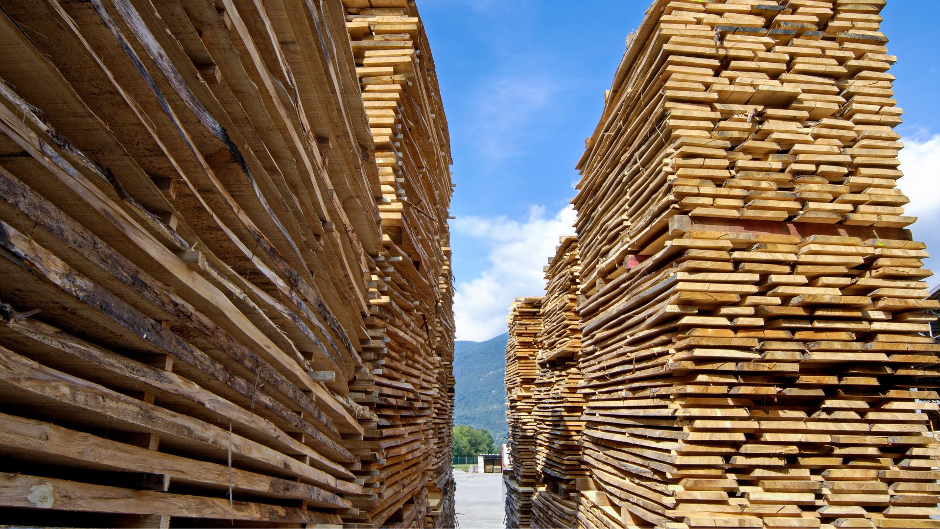 Intelligence artificielle & achats : les outils à connaître et les profils à recruter