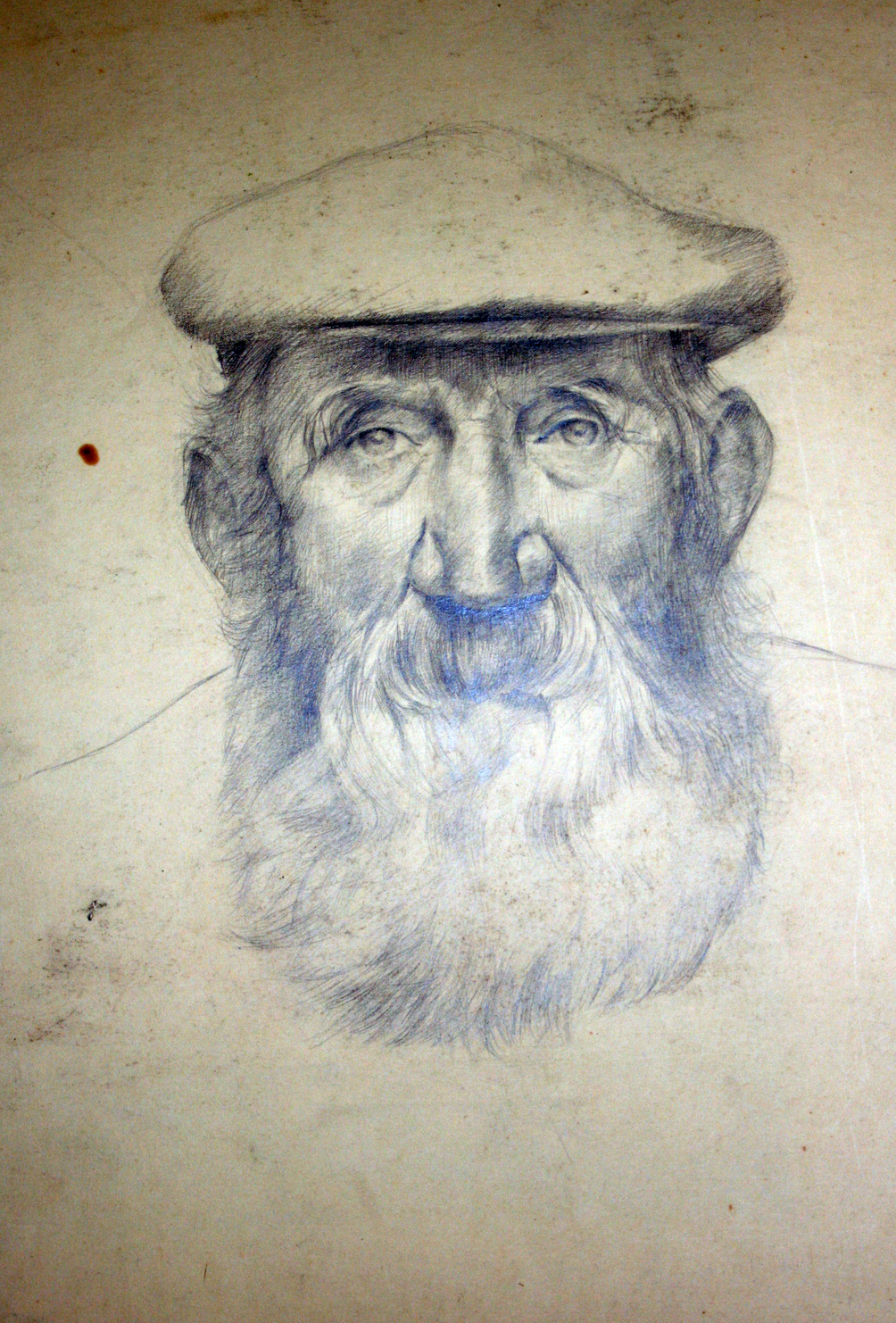 Man met epische baard