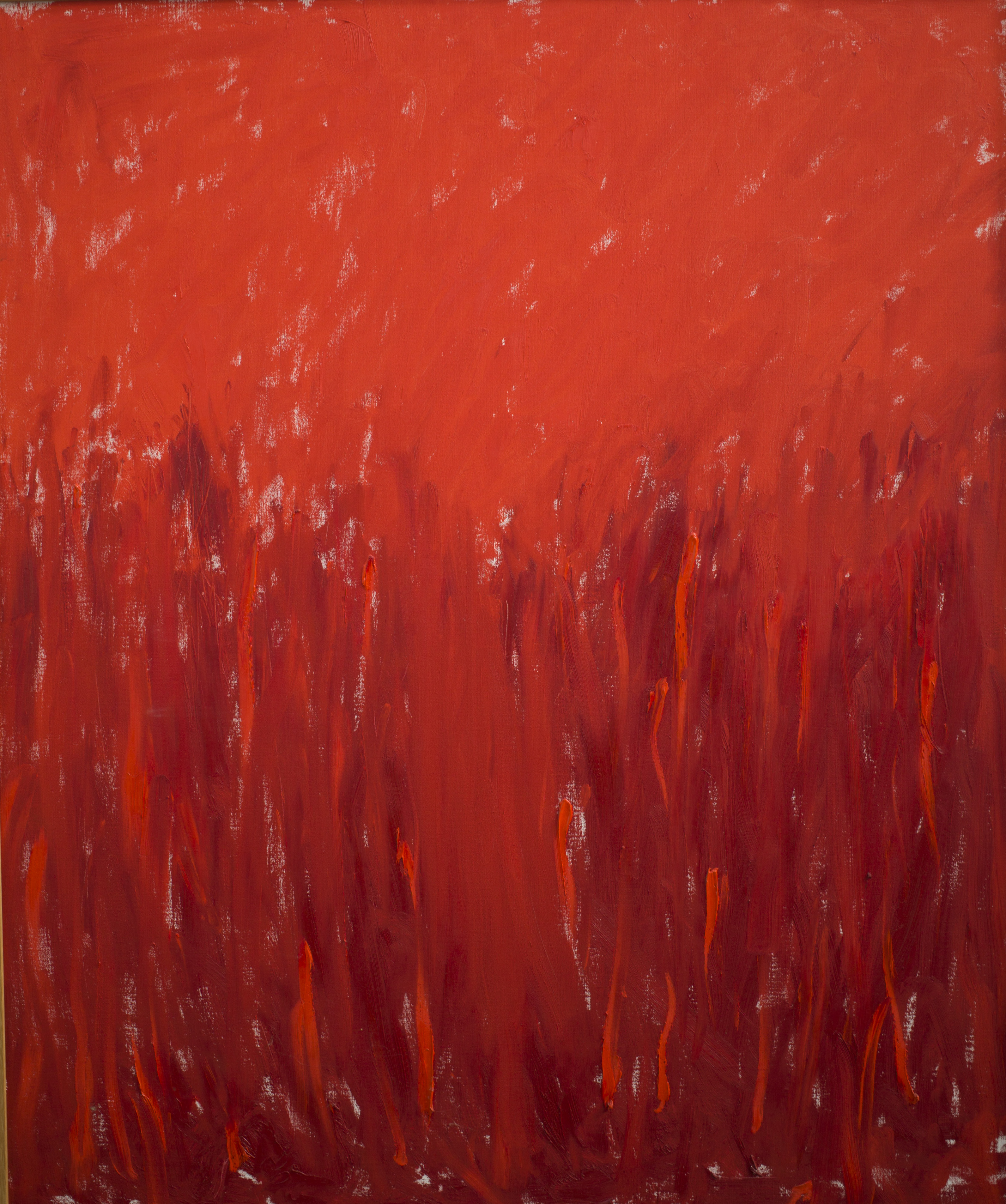 12 Abstracts, Red