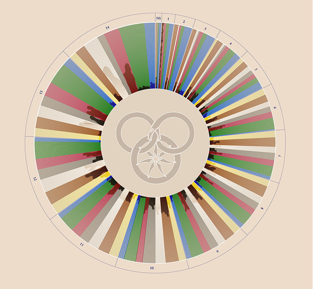 A coloured data visualisation showing the different characters' influence in the Wheel of Time