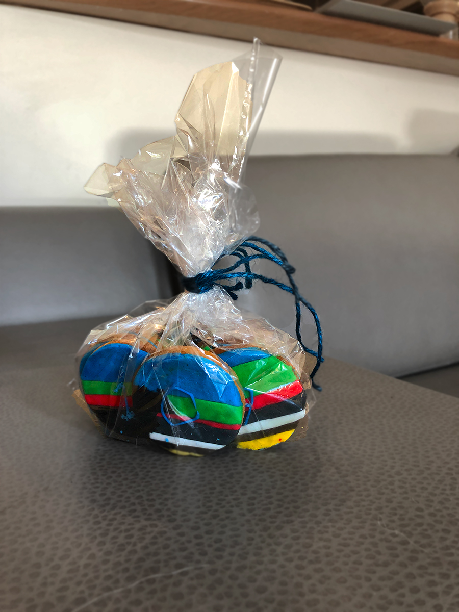 An angled shot of a bag of home-made cookies with a data visualisation about the Wheel of Time decorated on them