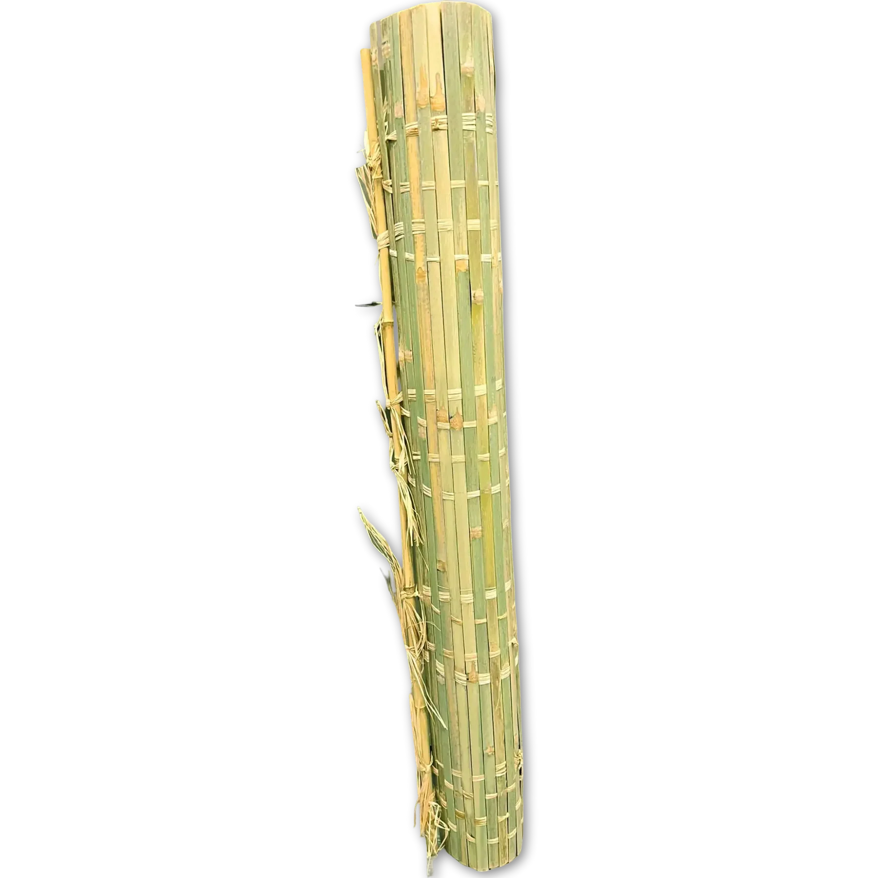 Bamboo schach mat rolled for storage
