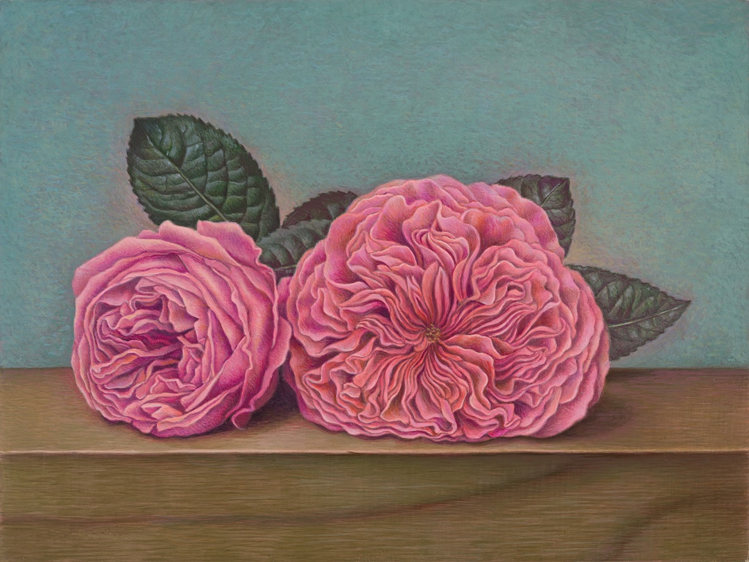 Two Roses