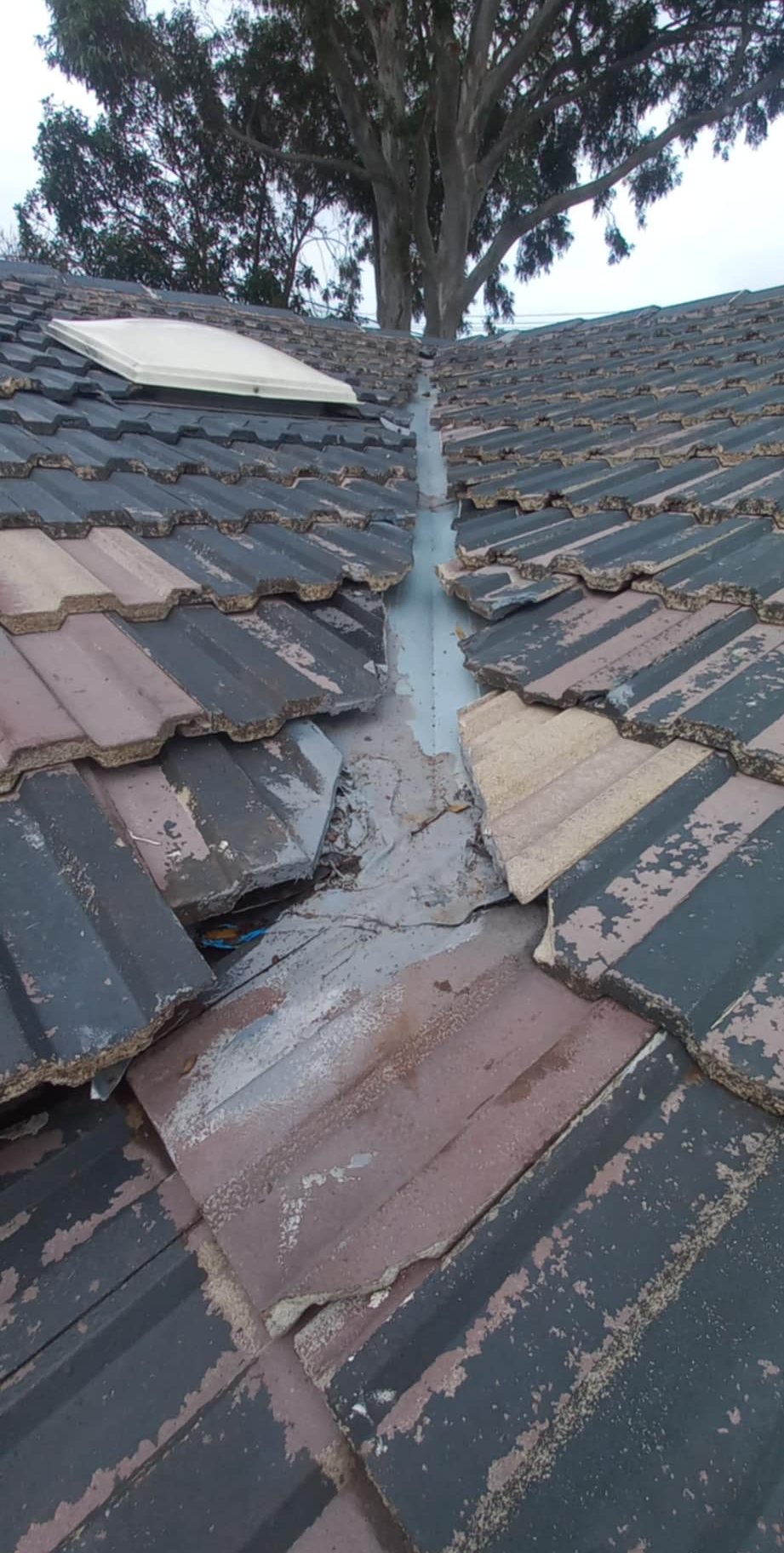 Broken and lifting roof tiles along a valley, with the coating flaking back to bare tile