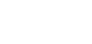 w3c logo
