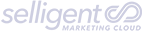 Selligent Marketing Cloud