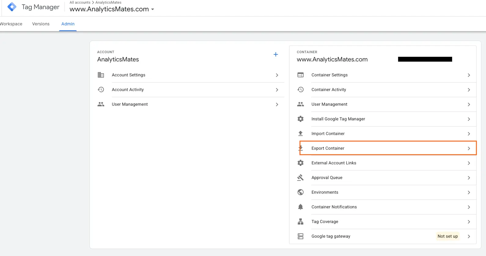 GTM Admin panel showing the Export Container option highlighted to export the container JSON for auditing.