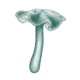 mushroom icon