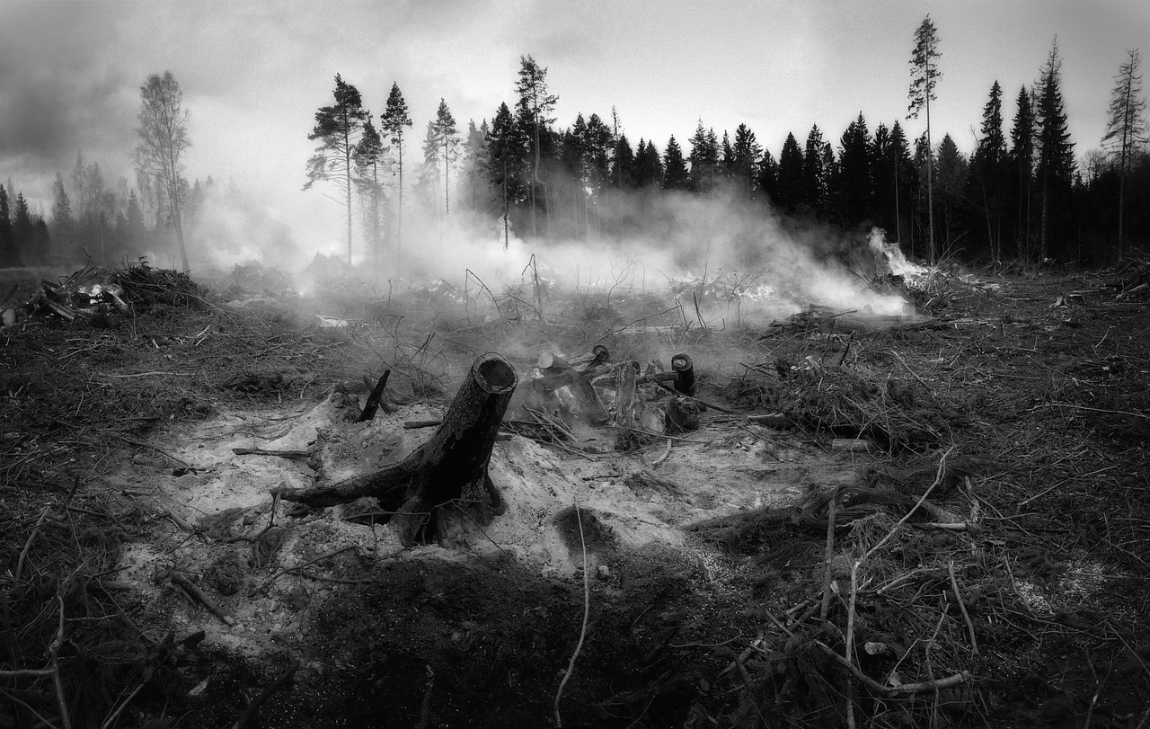 a wildfire that destroyed property and agricultural land