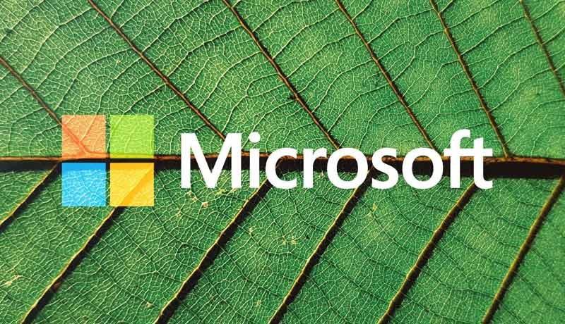 Microsoft logo displayed over a close-up green leaf texture, with visible veins forming a natural background.