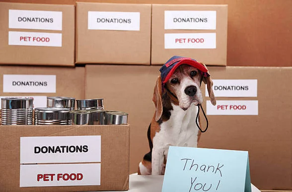 Donation drives for animal welfare