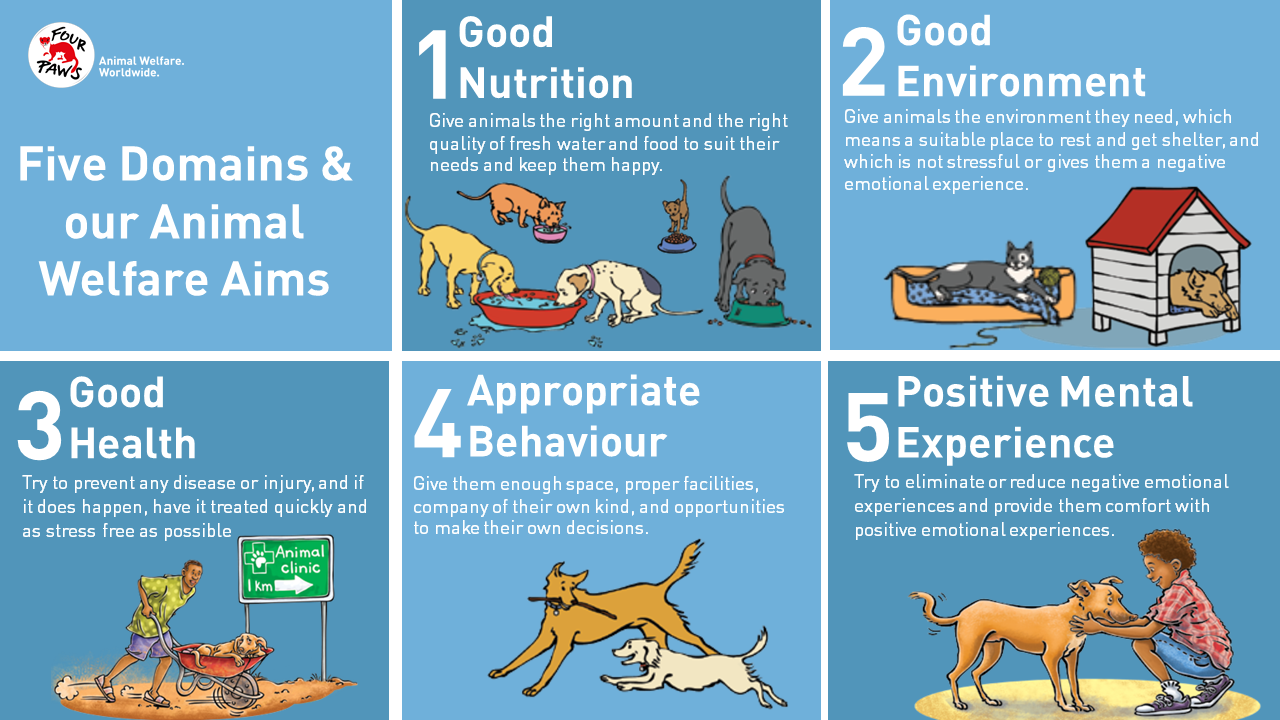 Animal Welfare Aims