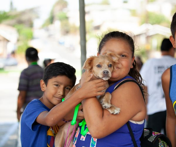 Community outreach for animals