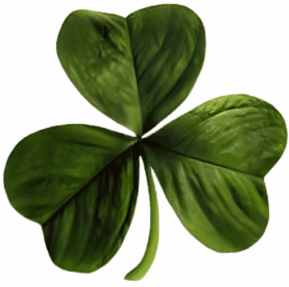 a shamrock leaf