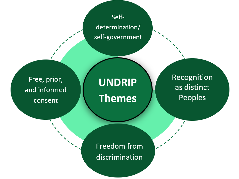 UNDRIP Themes for Businesses