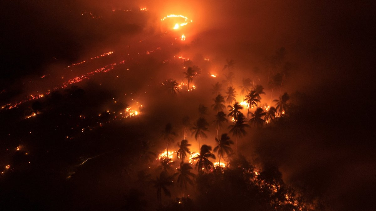 A drone view capturing the wildfires burning Sungai Putri, Ketapang Regency in Indonesia