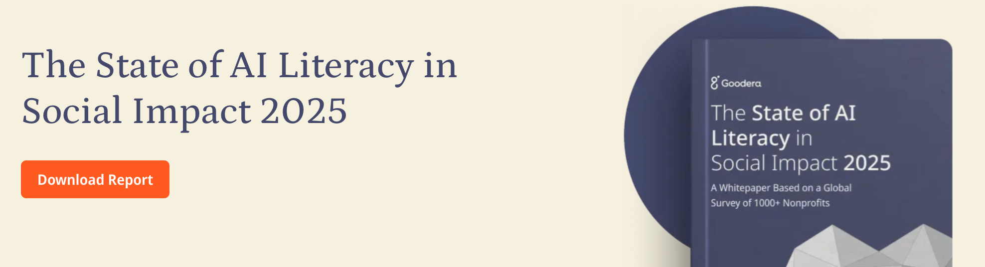 goodera's report on the State of AI literacy in social impact 2025