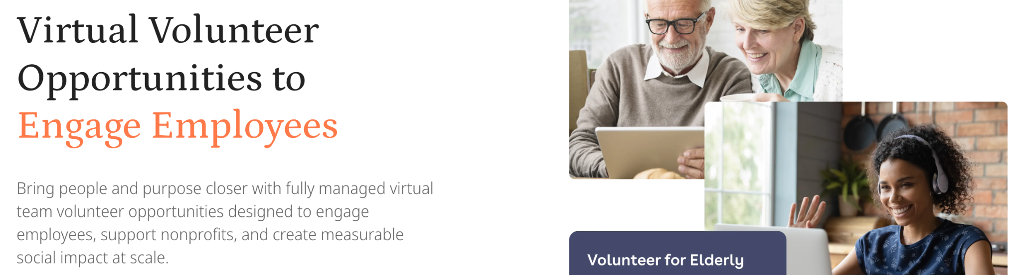 Goodera catalog of Virtual Volunteer Opportunites