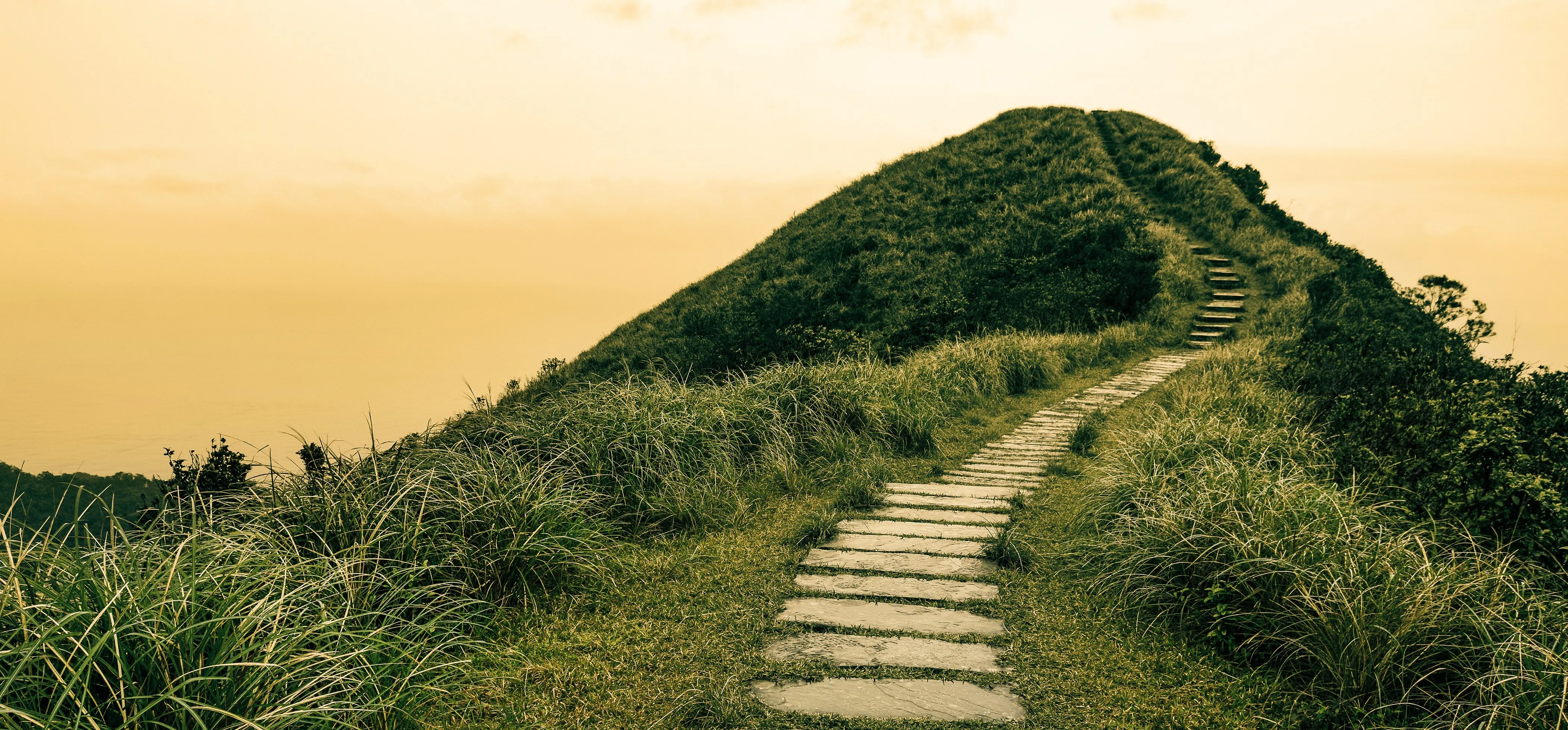 Path leading up a grassy hill