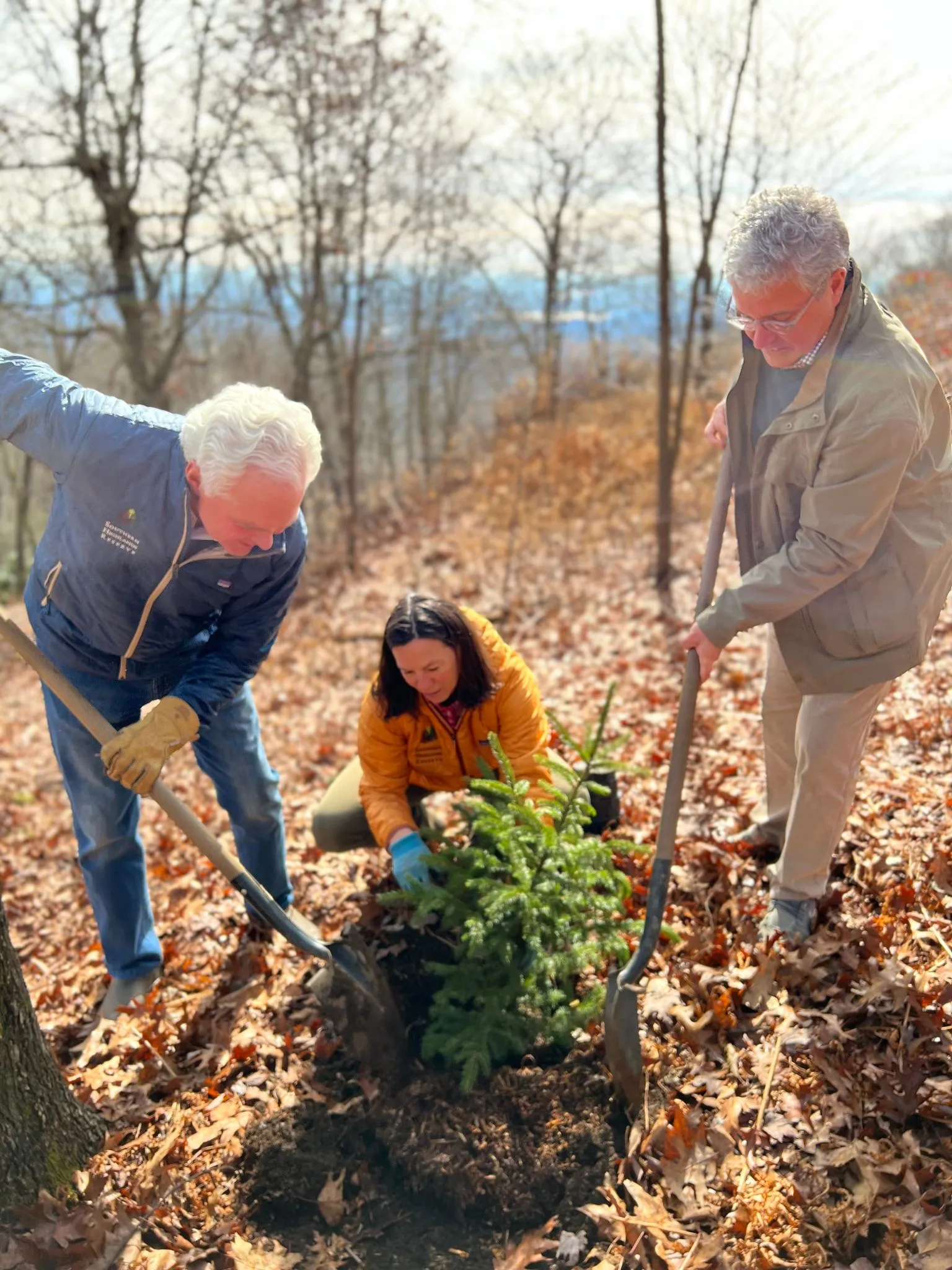 Balentine employees volunteering and getting involved within the community and giving it back 