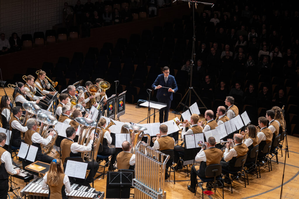 Musiker auf der Bühne