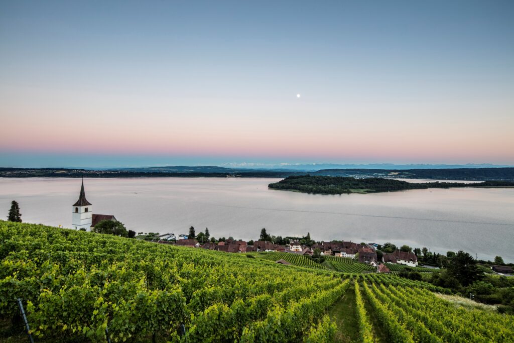 Blick auf den Bielersee mit St. Petersinsel