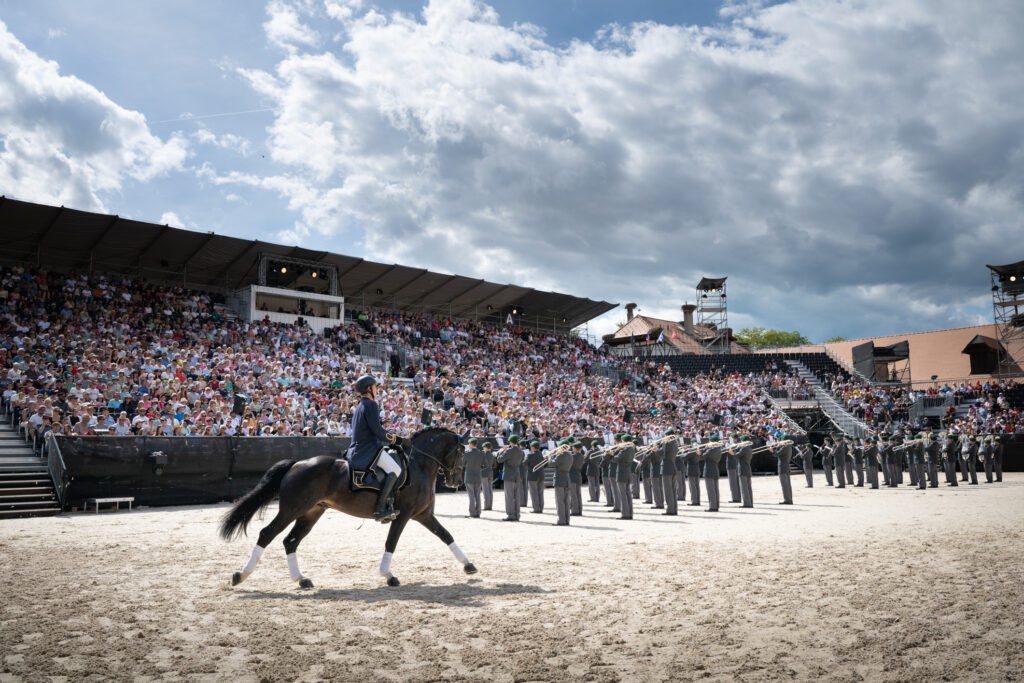 Tattoo-Arena mit Pferden