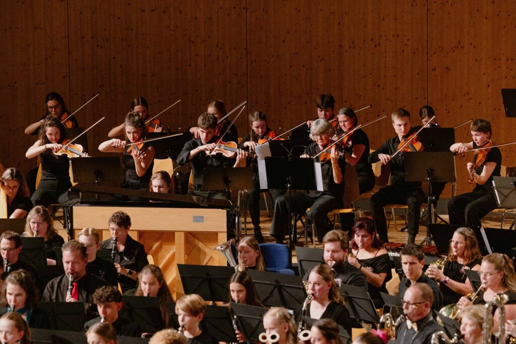 Les cordes de l'orchestre Harmoniversum sur scène