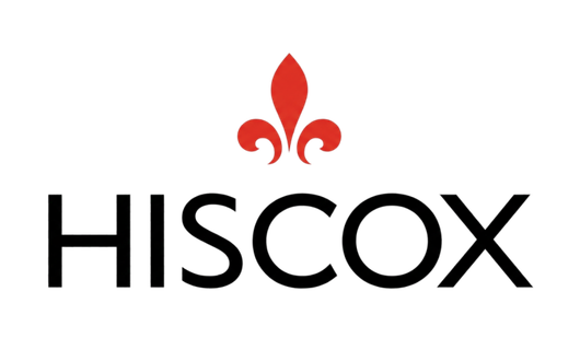 Logo de la marque Salomon