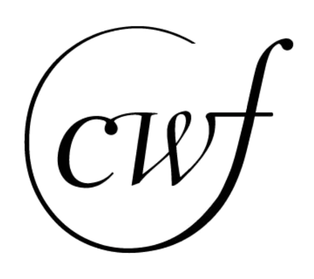 Logo de la marque Salomon