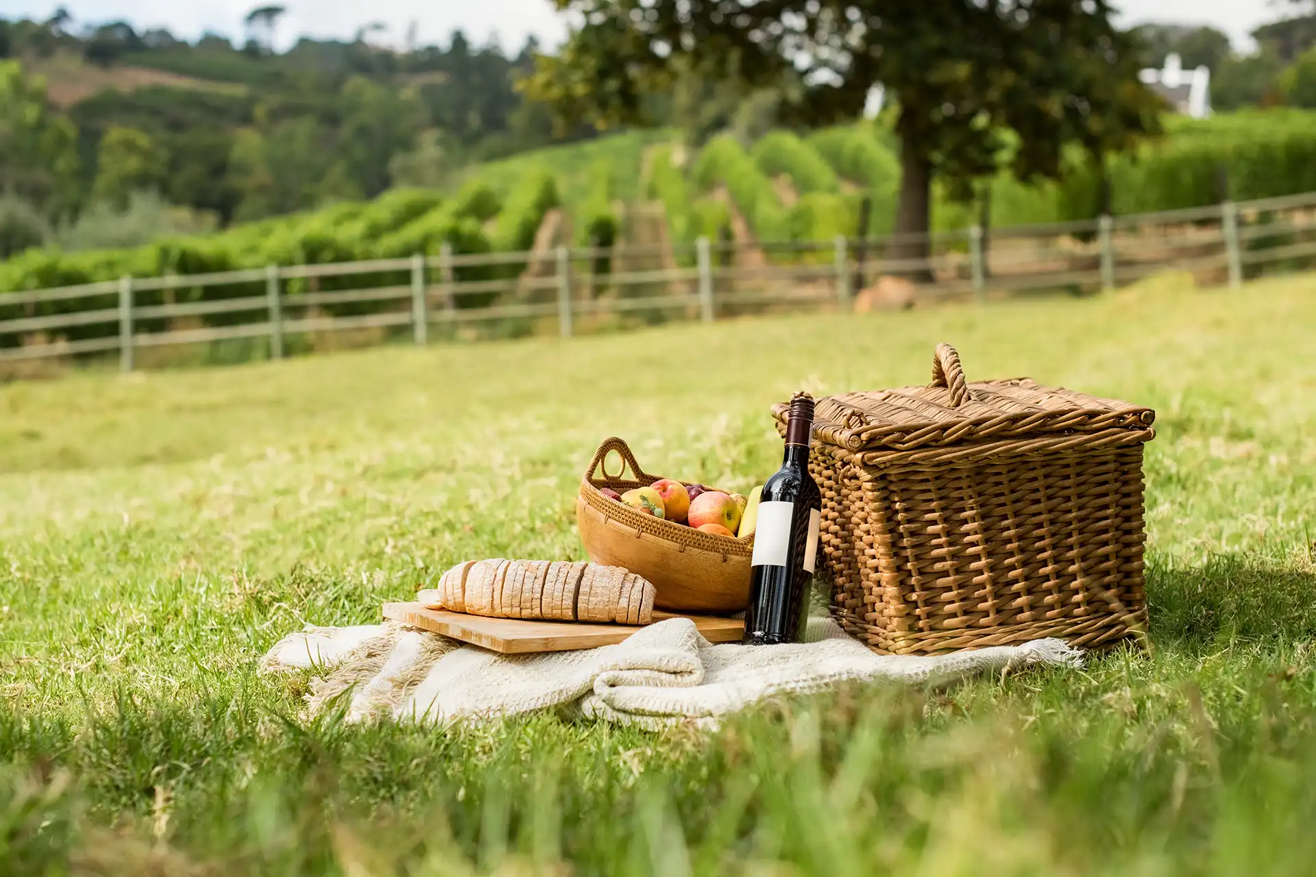 Top 5 Autumn Picnic Spots for an Unforgettable Istrian Escape