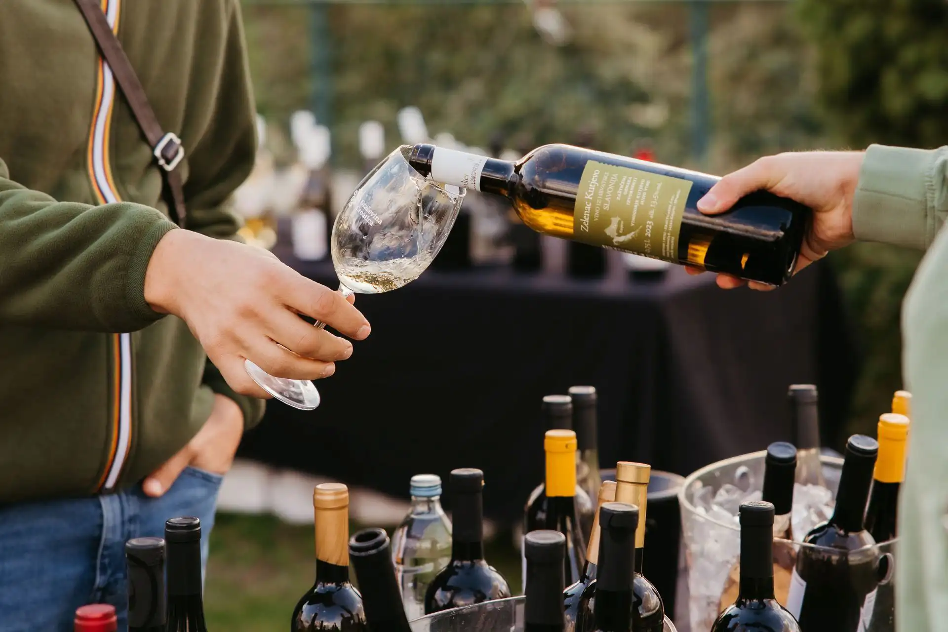 Flavors of the Danube: Dunav Wine Festival Returns to Ilok
