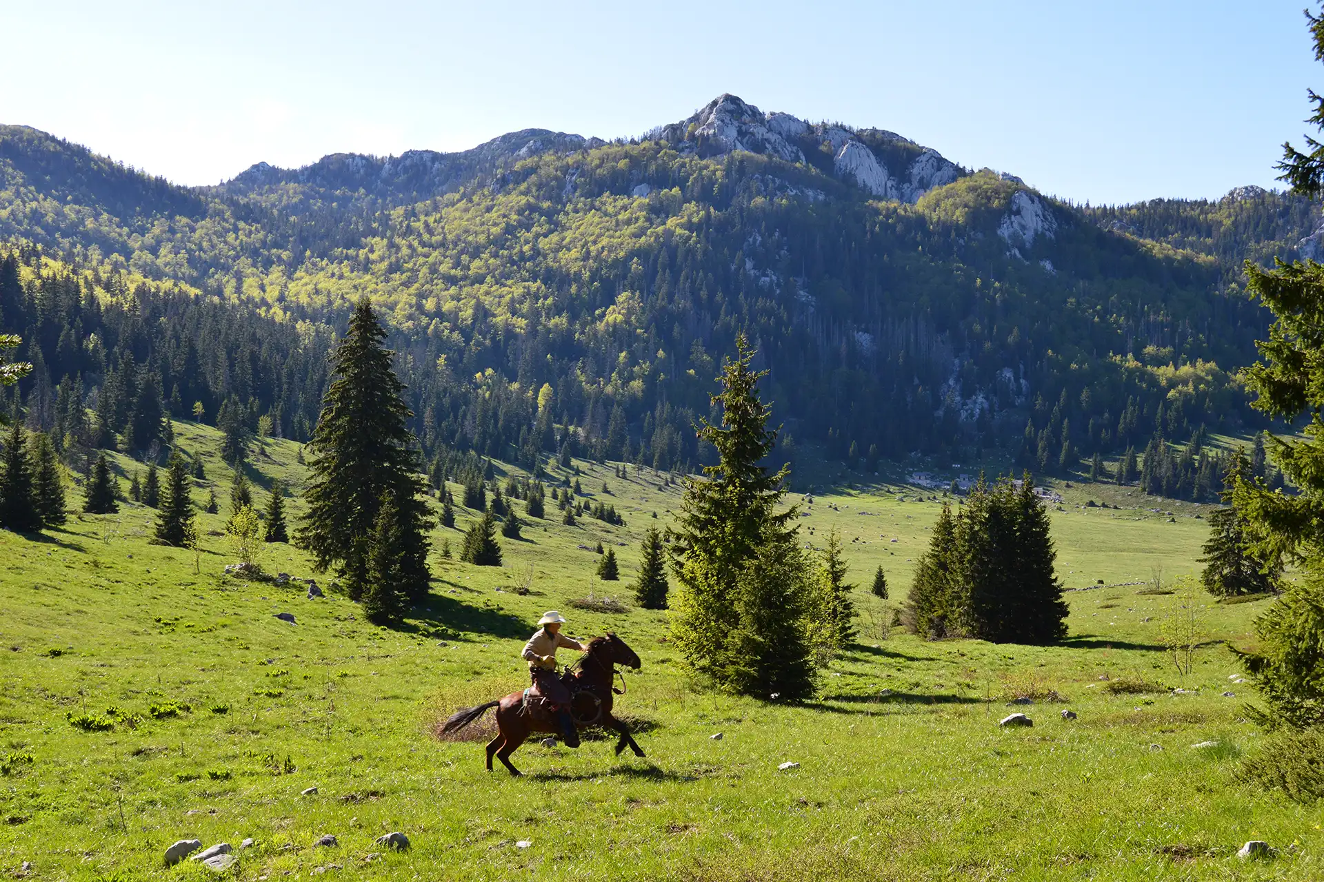 Srce Like: The Beating Heart of Croatia’s New Travel Frontier